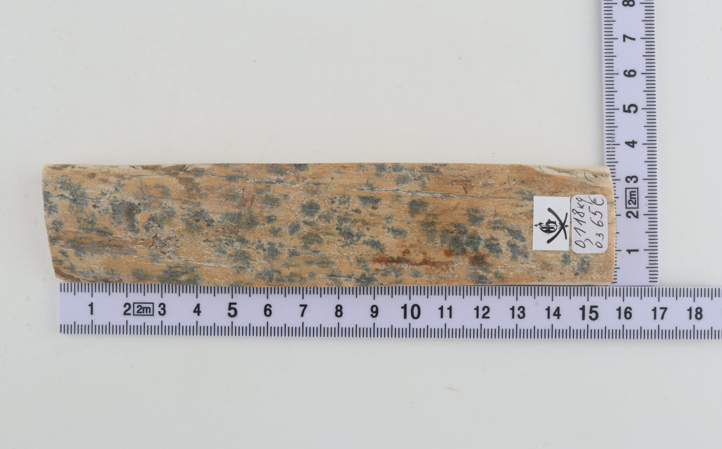 Beige-blue mammoth bark