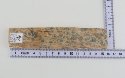Beige-blue mammoth bark