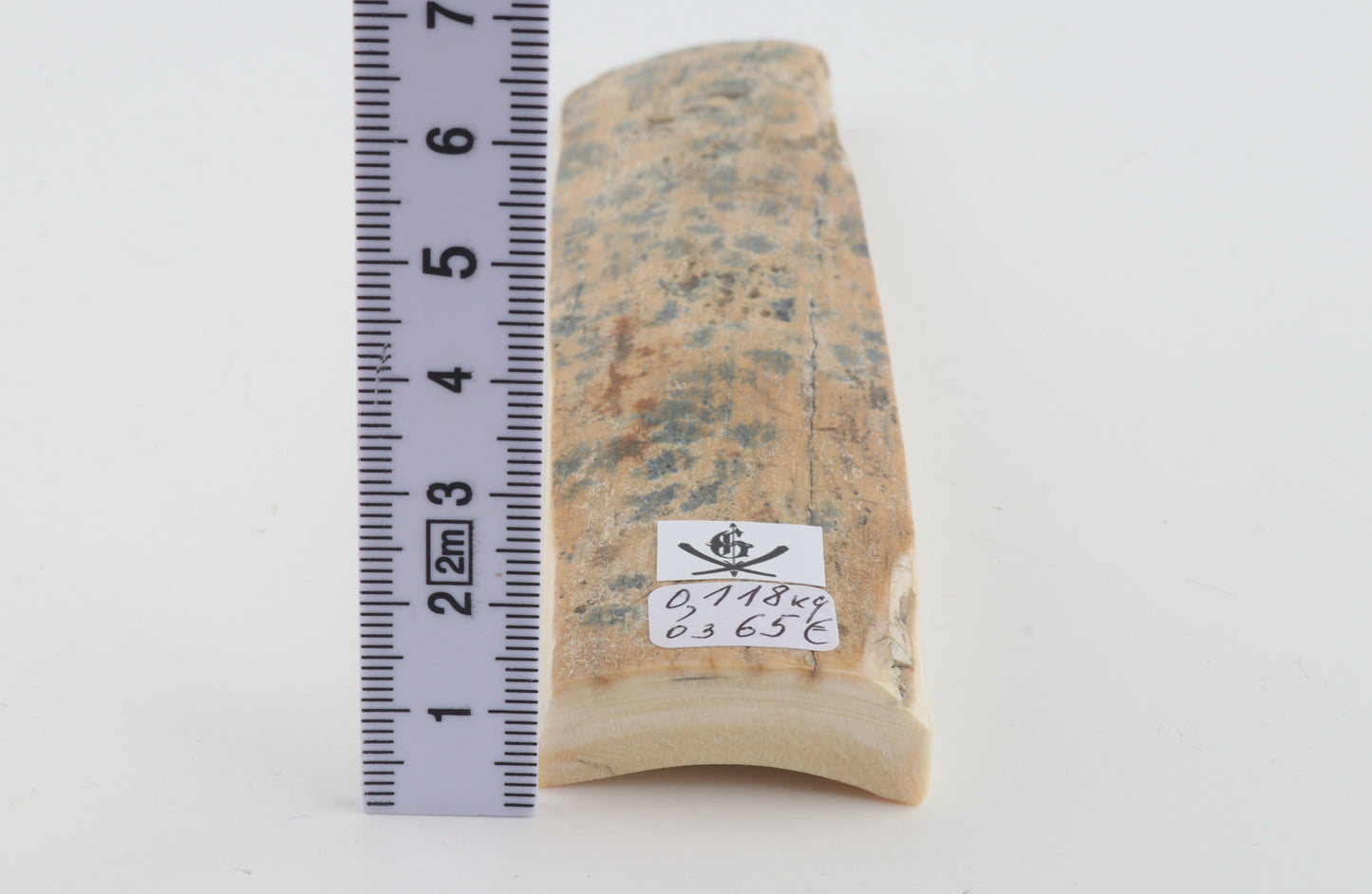 Beige-blue mammoth bark
