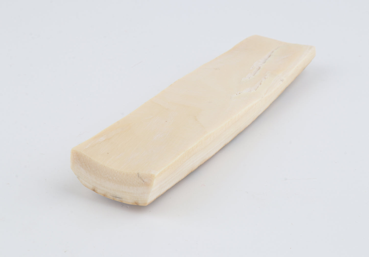 Beige-blue mammoth bark