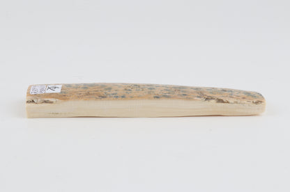 Beige-blue mammoth bark