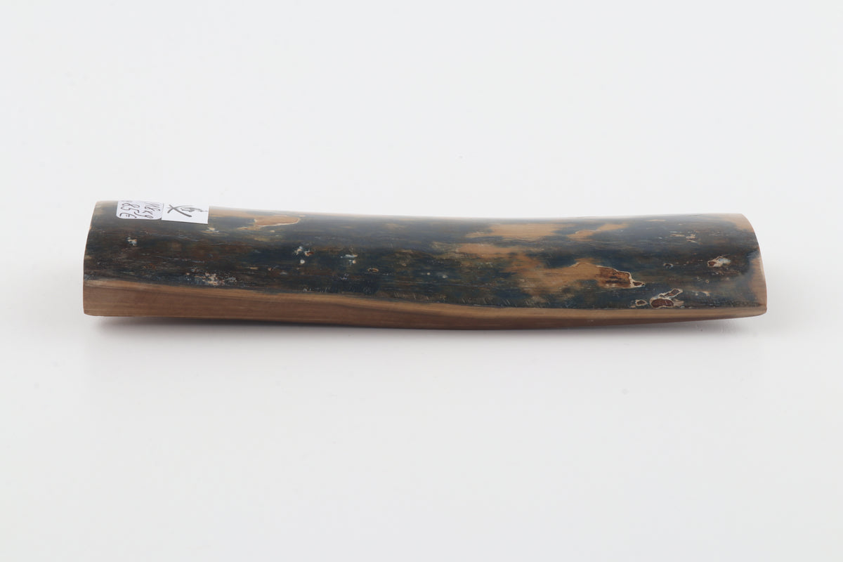 Mustard-blue mammoth bark