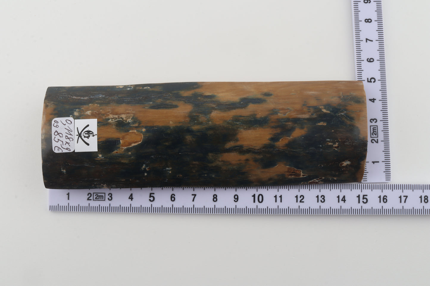Mustard-blue mammoth bark
