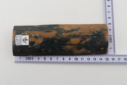 Mustard-blue mammoth bark