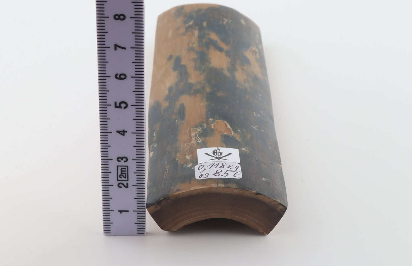Mustard-blue mammoth bark
