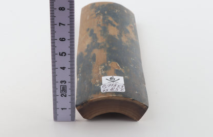 Mustard-blue mammoth bark