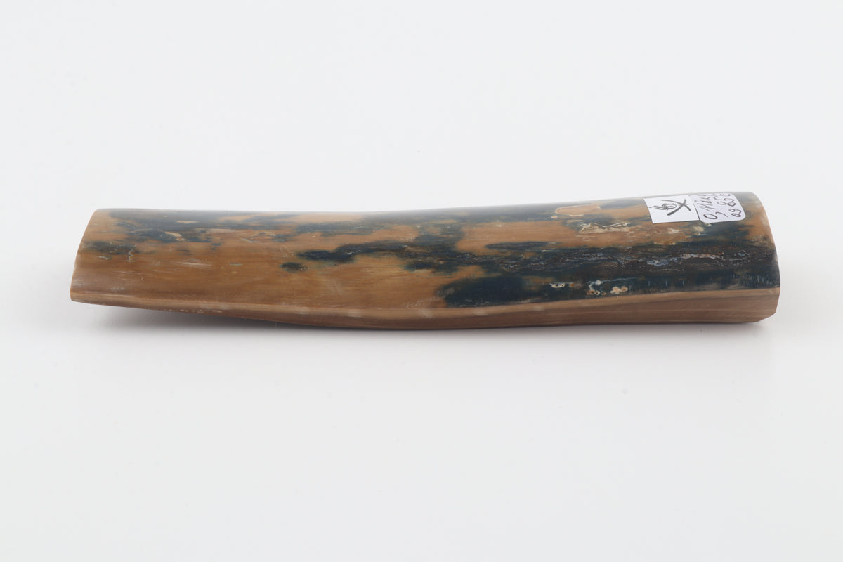 Mustard-blue mammoth bark