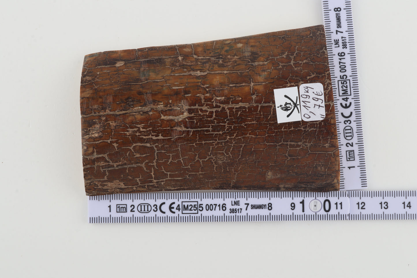 Brown mammoth bark