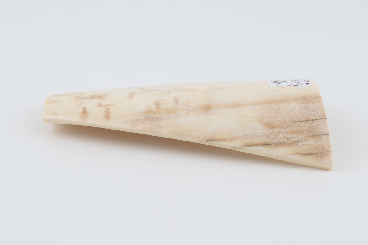 Cream-beige mammoth bark
