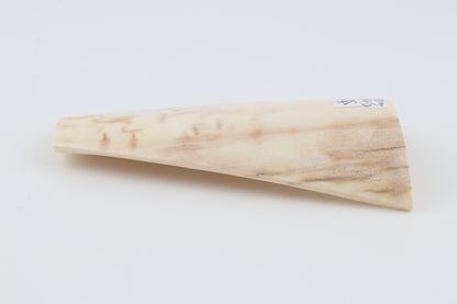 Cream-beige mammoth bark