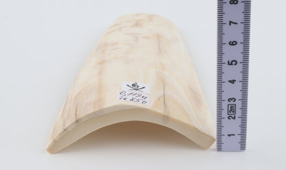 Cream-beige mammoth bark