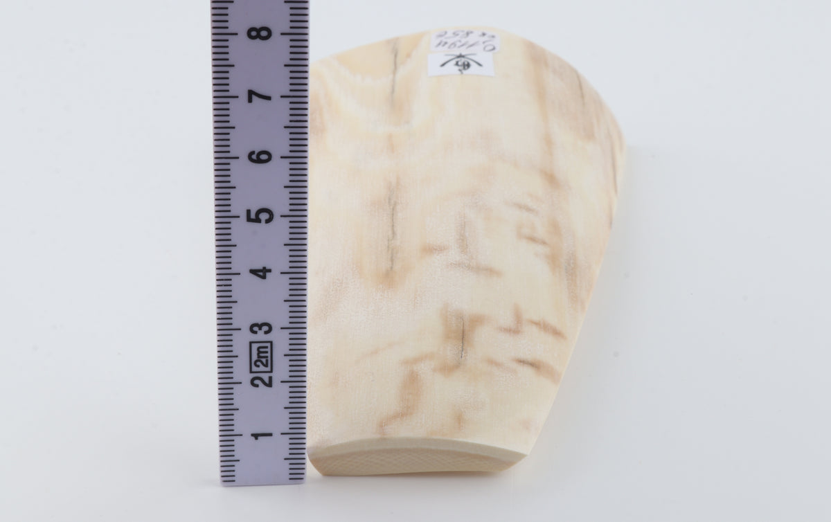 Cream-beige mammoth bark