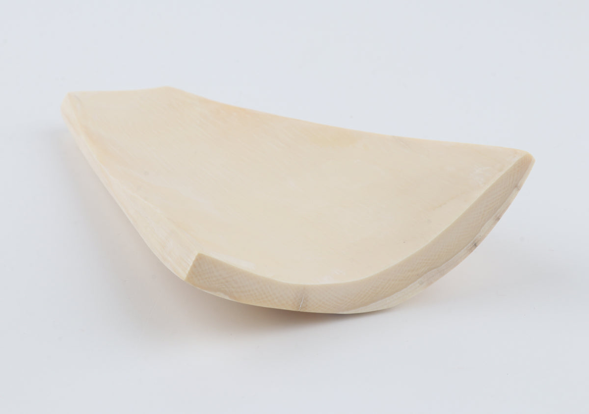 Cream-beige mammoth bark