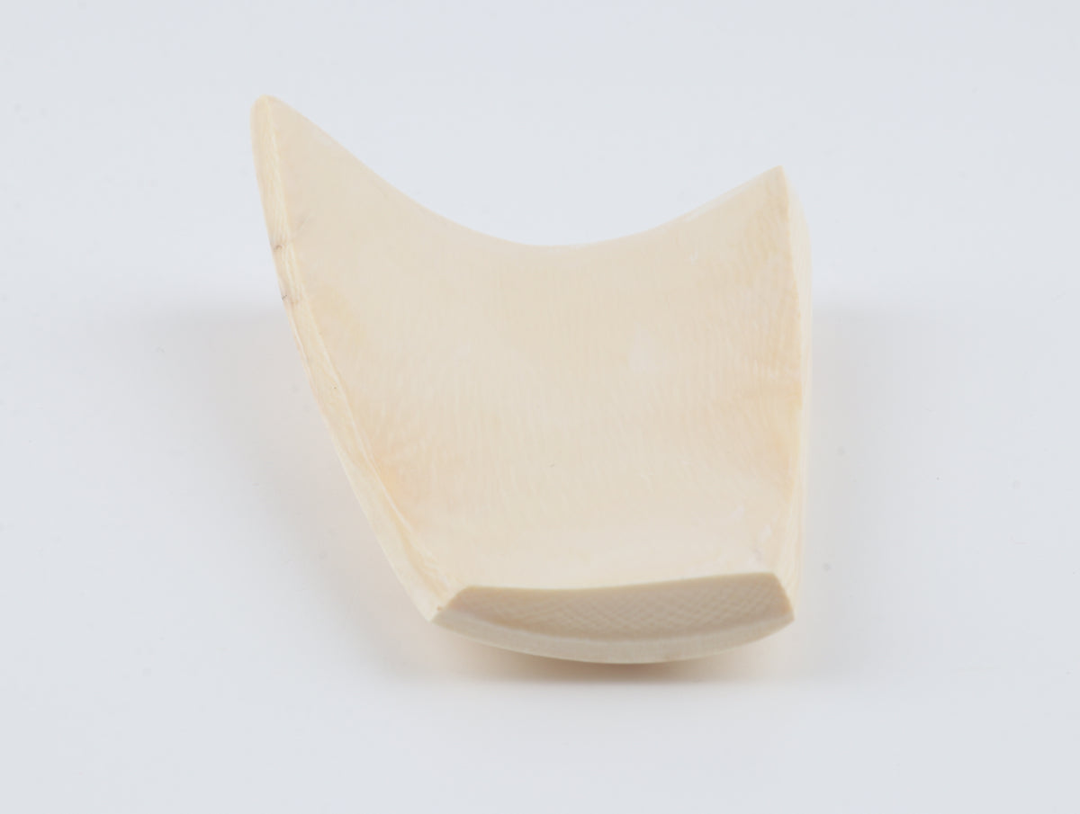 Cream-beige mammoth bark