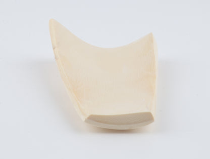 Cream-beige mammoth bark