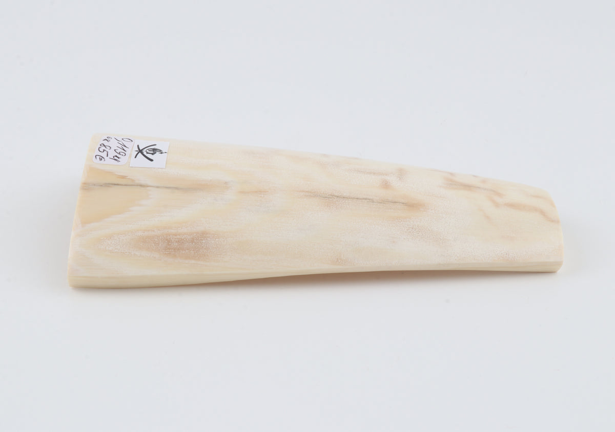 Cream-beige mammoth bark