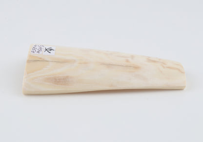 Cream-beige mammoth bark