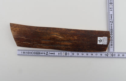 Brown mammoth bark