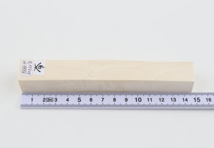White mammoth ivory segment