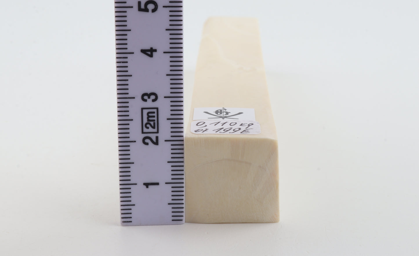 White mammoth ivory segment