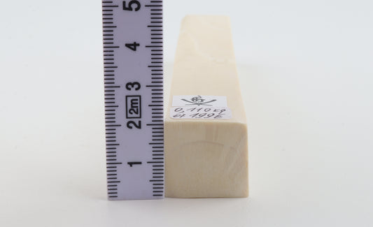 White mammoth ivory segment