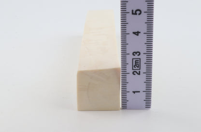 White mammoth ivory segment