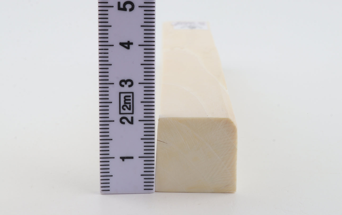 White mammoth ivory segment