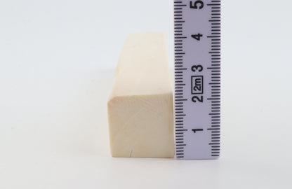 White mammoth ivory segment