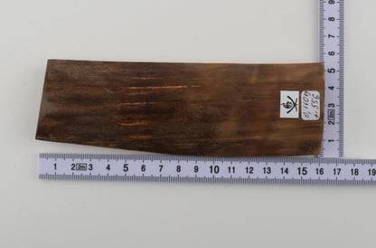 Beige-brown mammoth bark