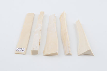 White mammoth ivory pieces