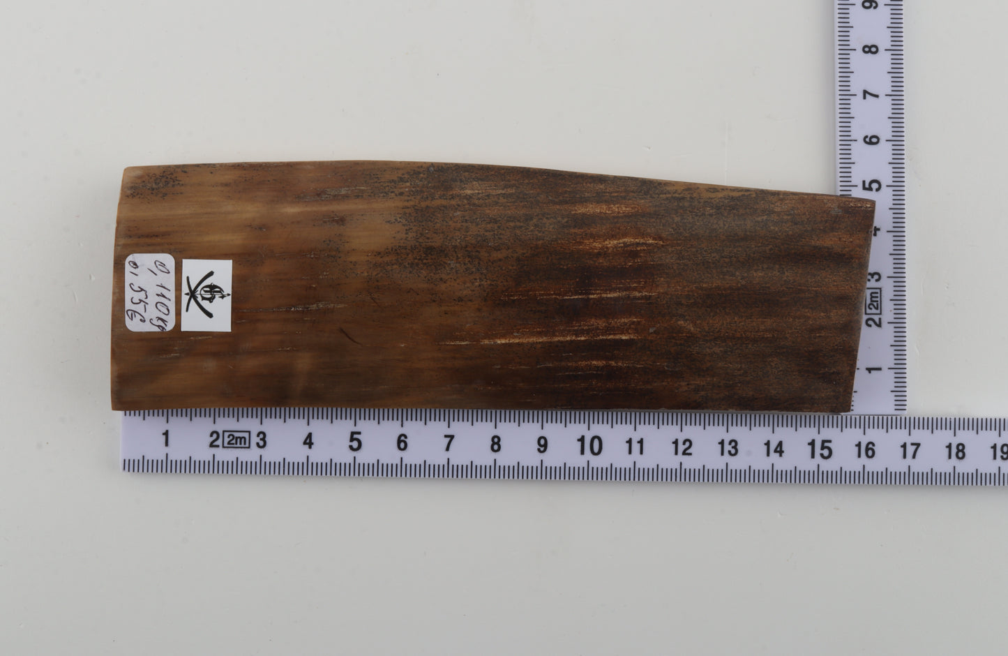 Beige-brown mammoth bark