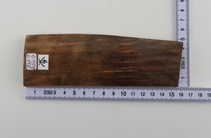 Beige-brown mammoth bark