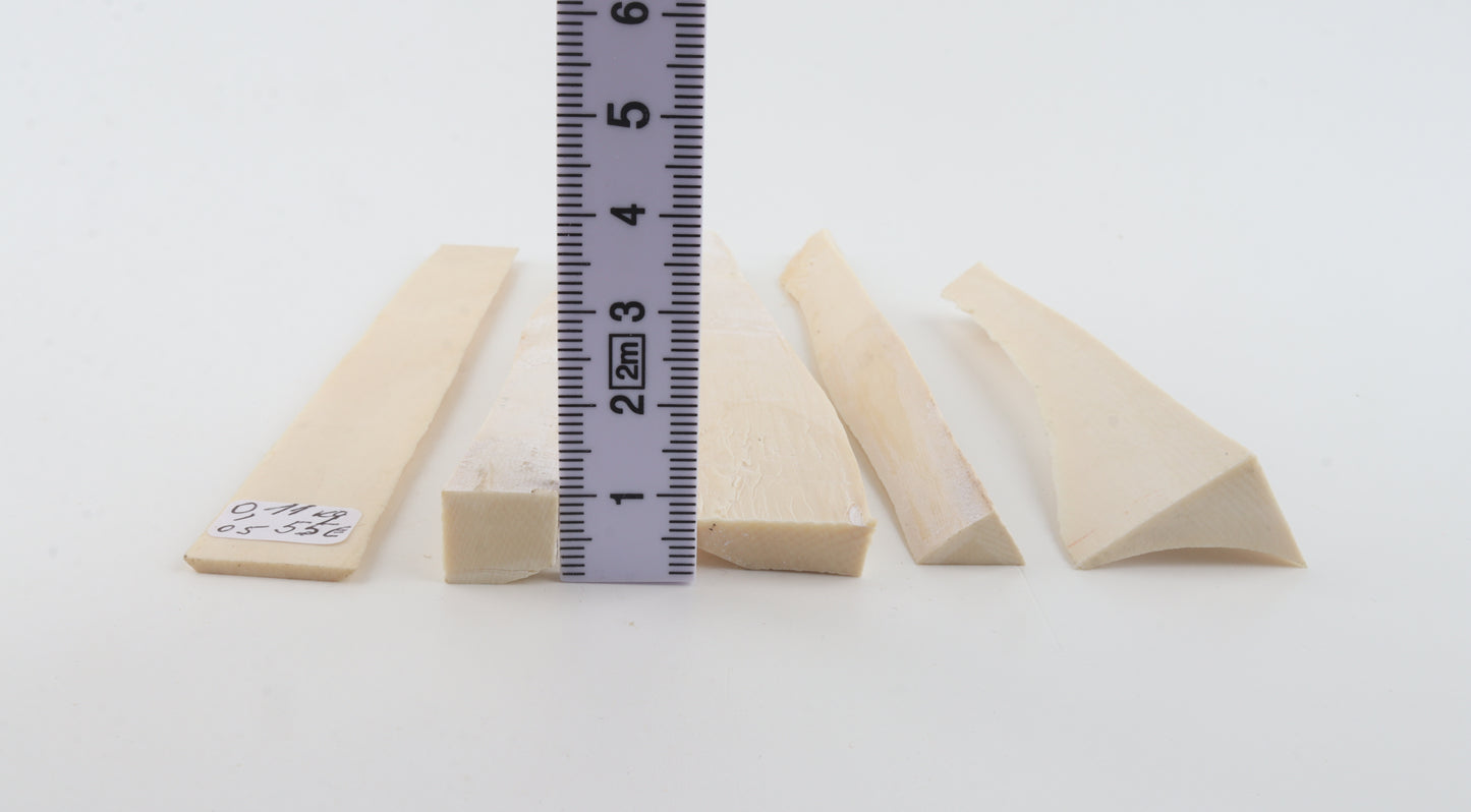 White mammoth ivory pieces