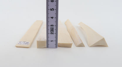 White mammoth ivory pieces