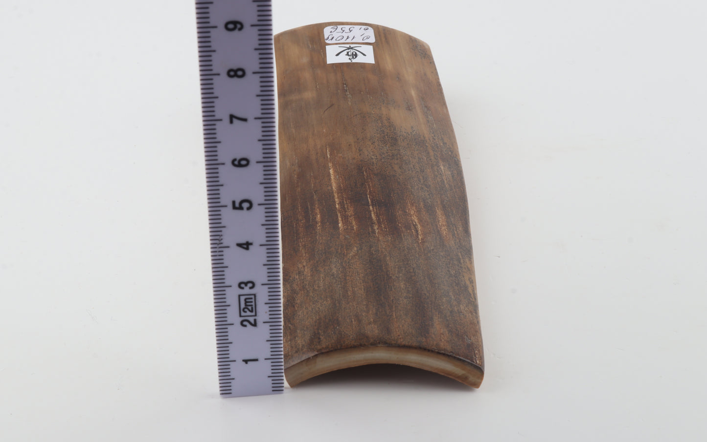 Beige-brown mammoth bark