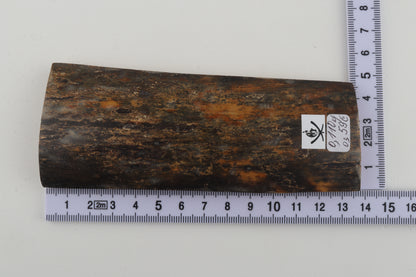 Natural woolly mammoth bark