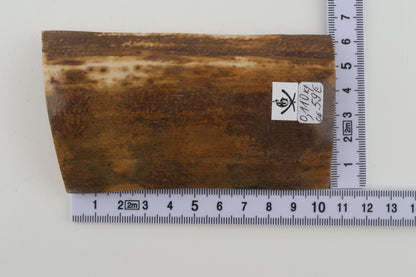 Brown-mustard mammoth bark