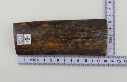 Natural woolly mammoth bark