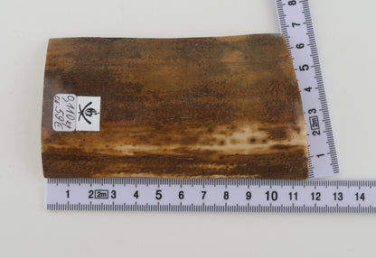 Brown-mustard mammoth bark