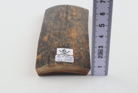 Natural woolly mammoth bark