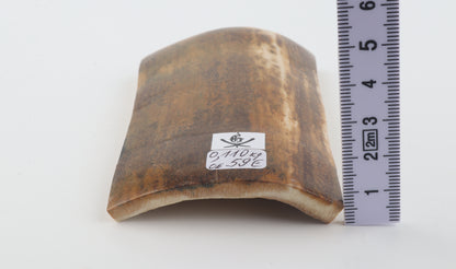 Brown-mustard mammoth bark