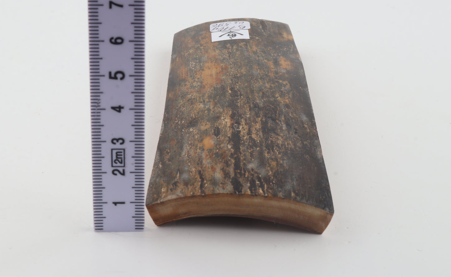 Natural woolly mammoth bark