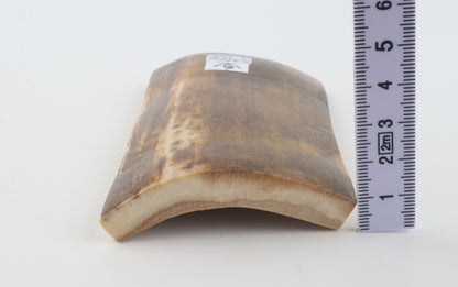 Brown-mustard mammoth bark