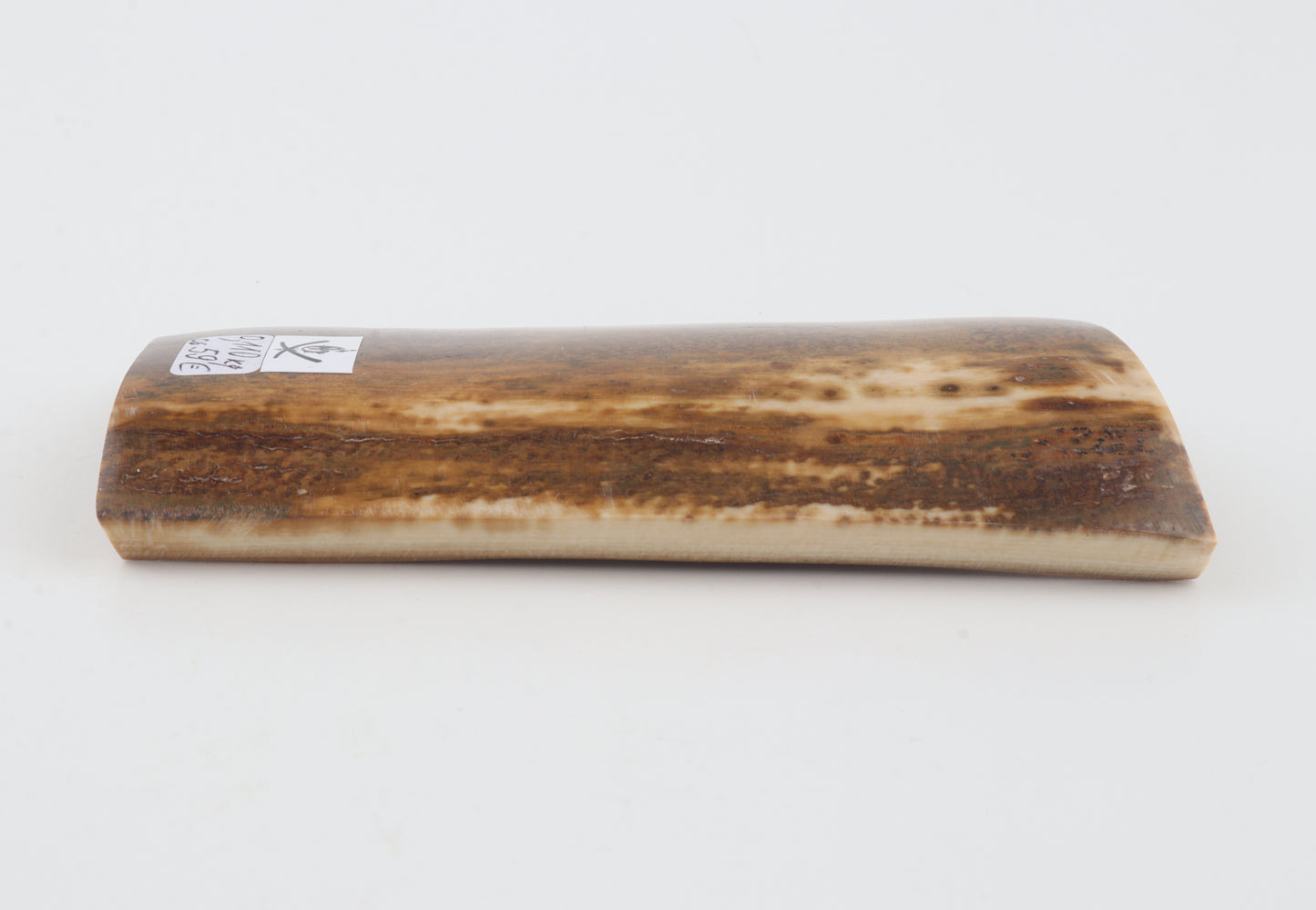 Brown-mustard mammoth bark