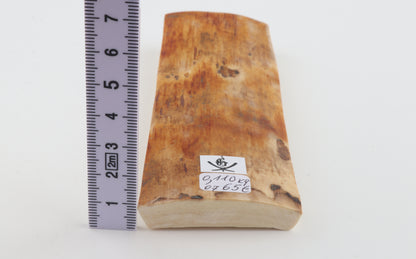 Orange-caramel mammoth bark
