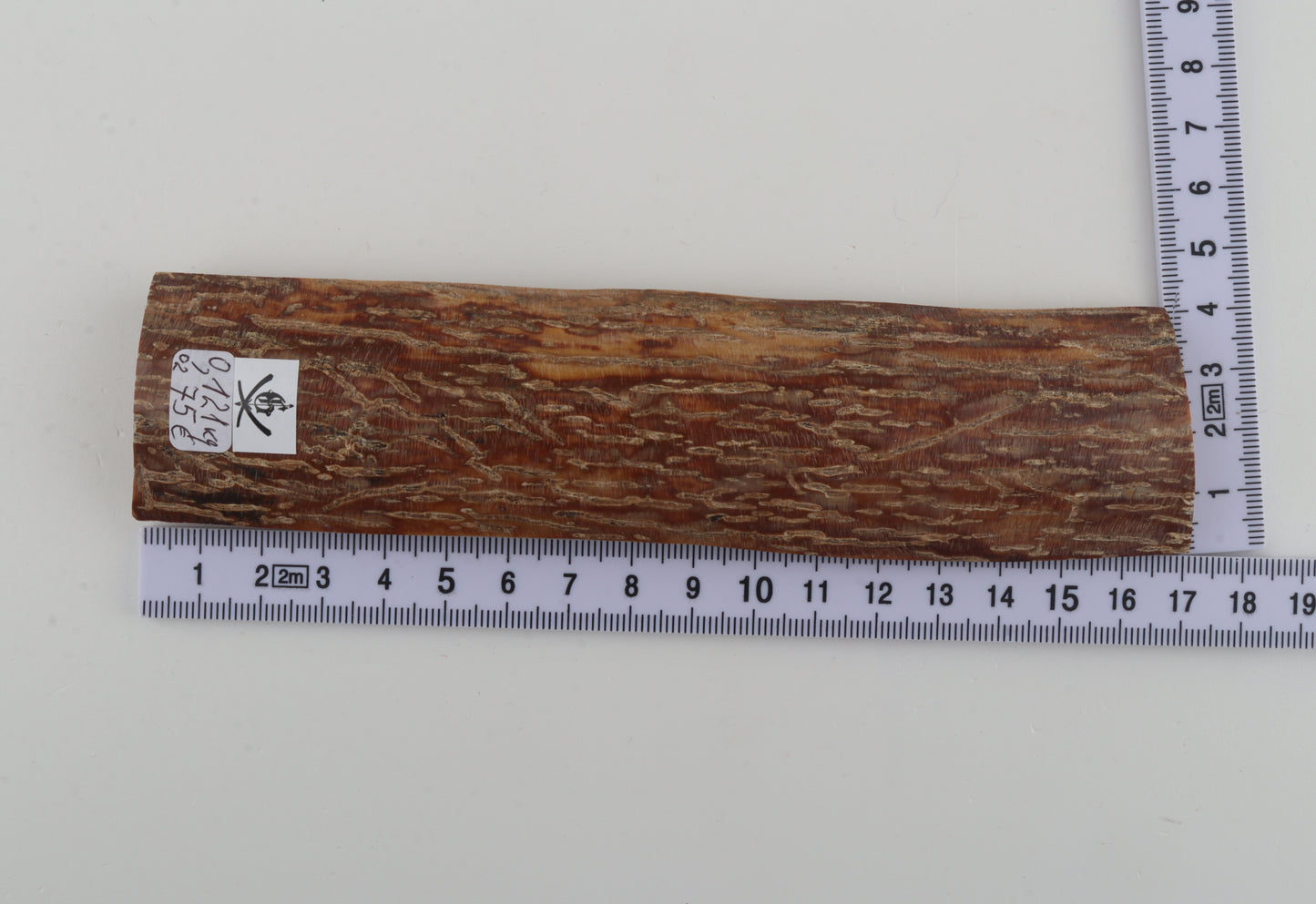 Brown-caramel mammoth bark