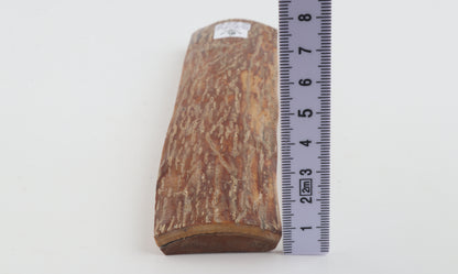 Brown-caramel mammoth bark