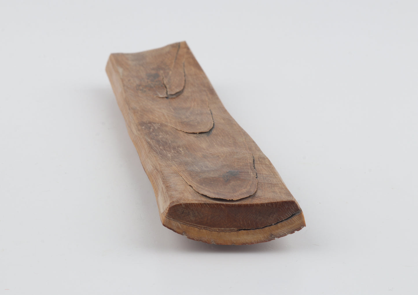 Brown-caramel mammoth bark