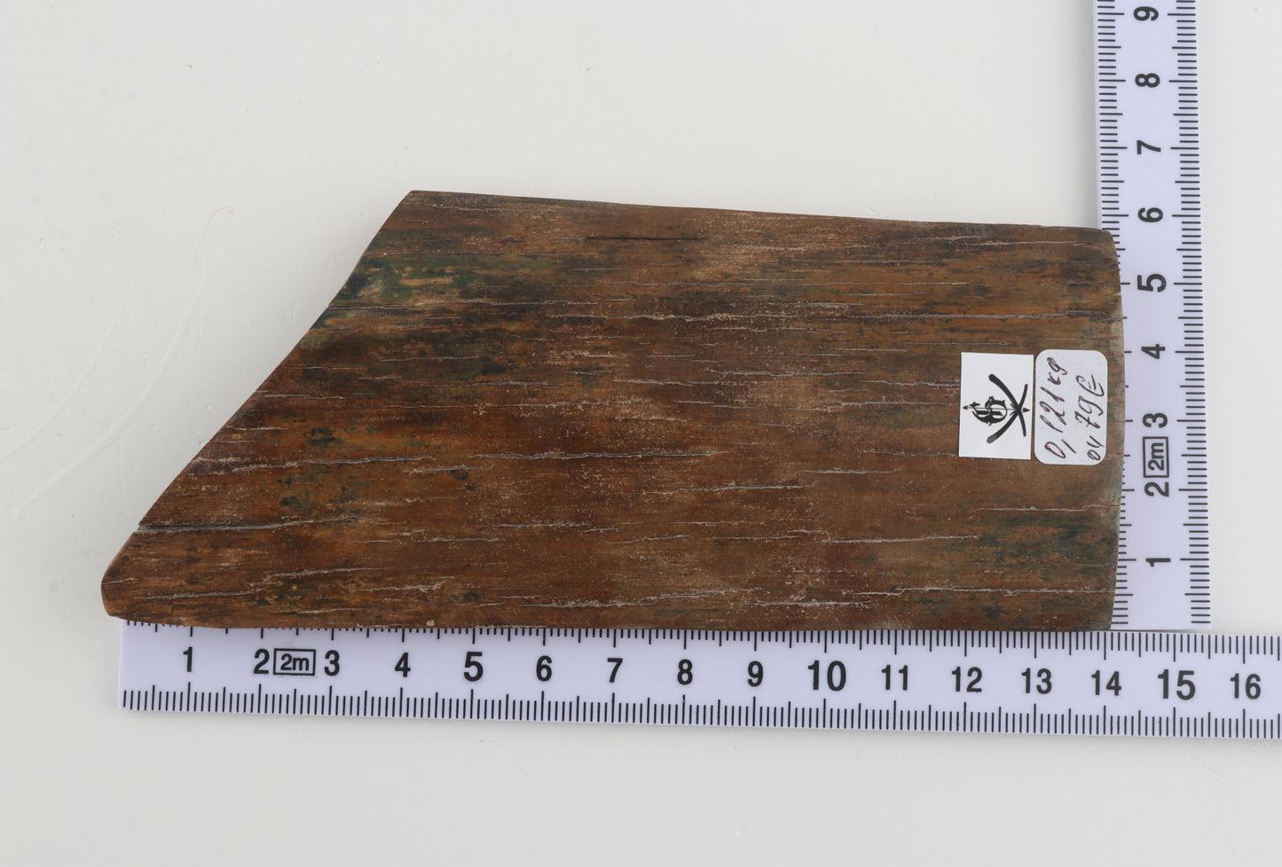 Beige-green mammoth bark