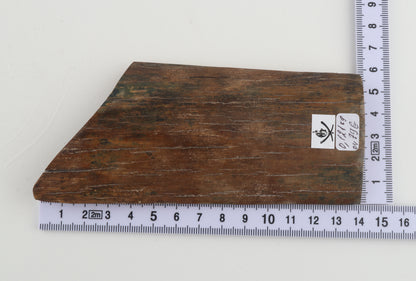 Beige-green mammoth bark